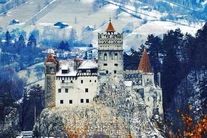 Libearty Brown Bear Sanctuary, Rasnov Fortress, Bran Castle Day Tour From Brasov