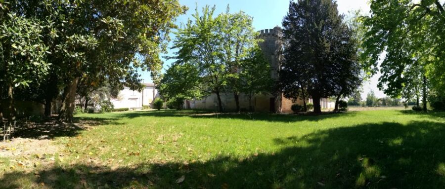 Libourne: Visit and Wine Tasting in the Heart of Libourne - Overview of the Experience
