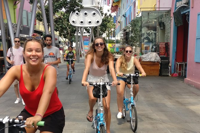 Lion City Bike Tour of Singapore