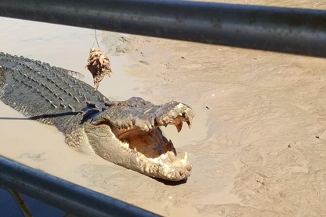 Litchfield National Park & Jumping Crocodile Cruise, 4wd, Max 6
