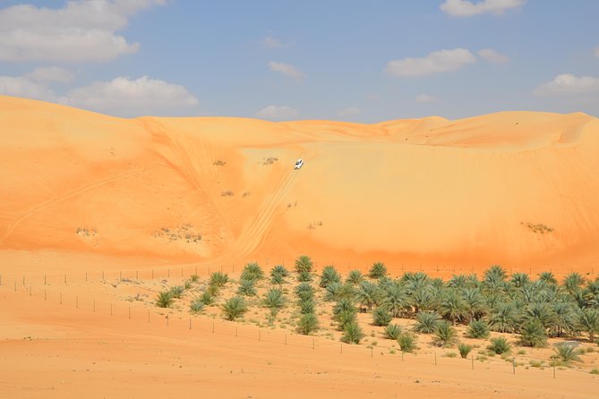 Liwa Full Day Desert Safari From Abu Dhabi