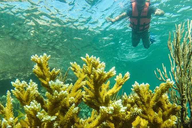 Local Fishing Plus Snorkeling Tour in Isla Mujeres - Inclusions and Equipment