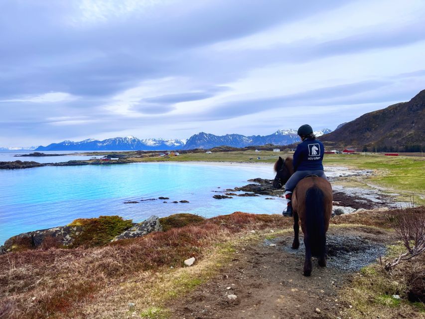 2 Best Tours In Gimsoy
