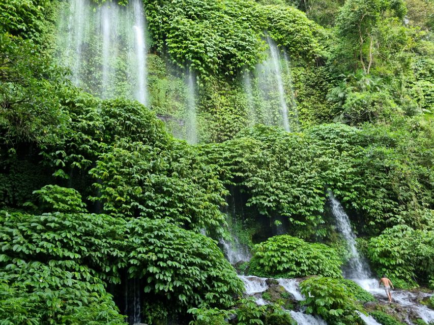Lombok: Rice Terrace Walking Tour & Benang Kelambu Waterfall