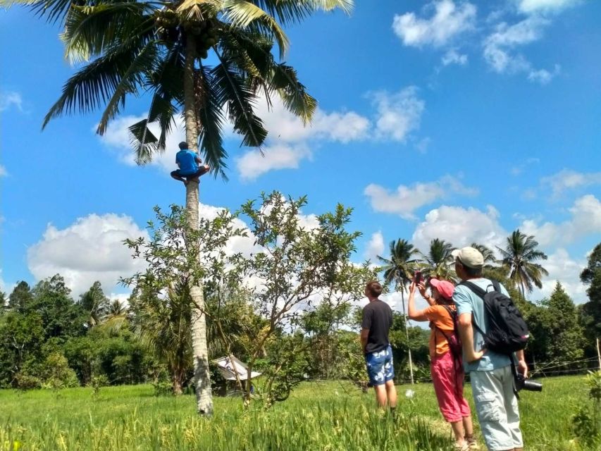 Lombok Stick Fight Dance And Tour