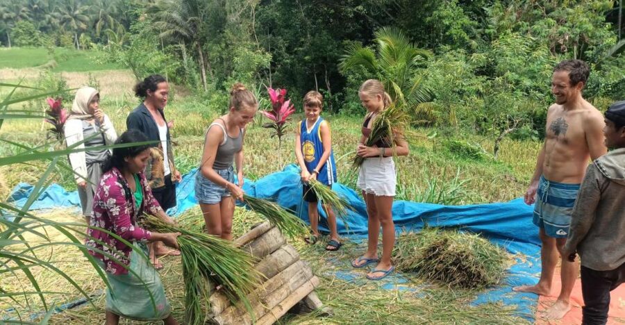 Lombok Tour: Explore Nature and Culture Arround Lombok - Tour Overview