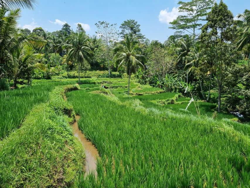Lombok Tour Packages 6 Days 5 Nights