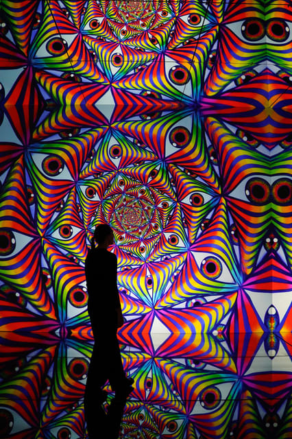 London: Illusionaries Entheon Exhibition Entry Ticket - Exhibition Overview