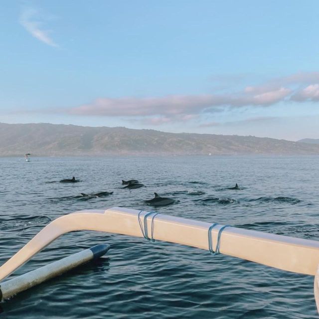 Lovina Dolphin Wacthing Sunrise & Snorkeling Tour