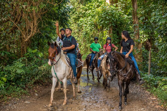 Luquillo Beach Horse Ride From Carabalí Rainforest Adventure Park