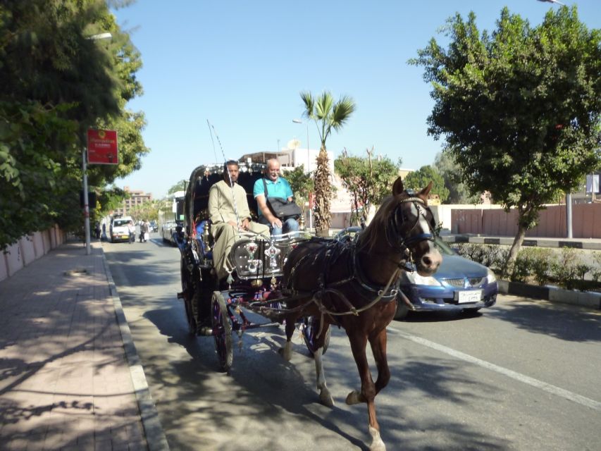 Luxor: City Tour by Horse Carriage From the East Bank - Tour Overview