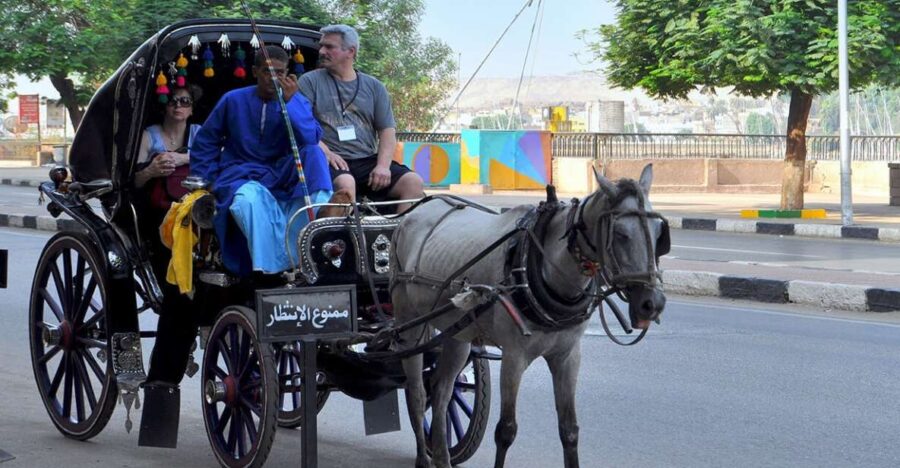 Luxor : Luxor City Tour By Horse Carriage Private Tour