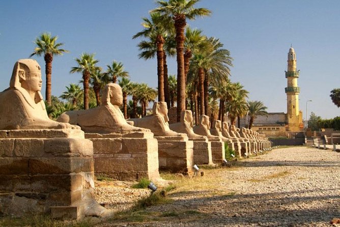 Luxor Private Day Tour From Soma Bay With Private Tour Guide