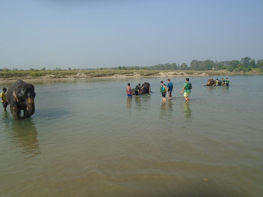 Luxury Chitwan Jungle Safari Package (2Nights/3Days)