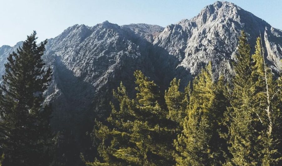 Luxury Jeep Safaris: White Mountains & Samaria Sightseeing - Jeep Safari Overview