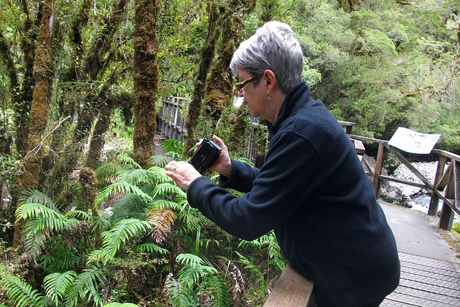 Luxury Milford Sound Coach and Scenic Cruise - Itinerary and Inclusions