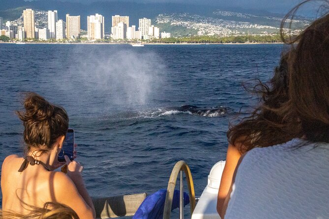 Luxury Private Sailing Catamaran in Waikiki - Overview of the Catamaran