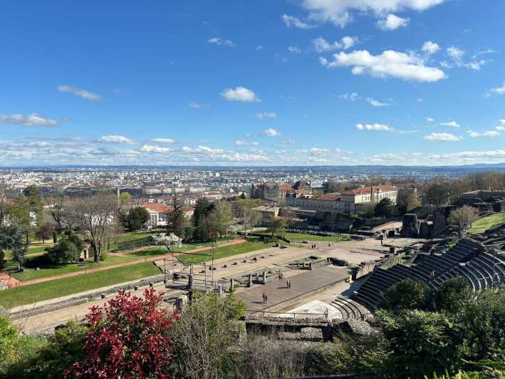 Lyon: Visit Lyon on a Private Half-Day Tour With a Driver - Tour Overview and Pricing