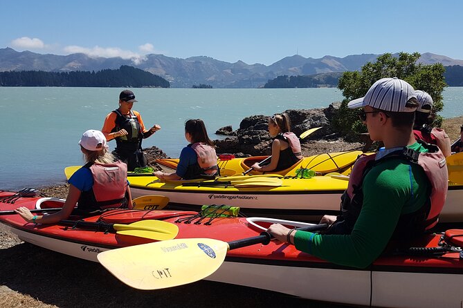 6 Best Shore Excursions In Christchurch