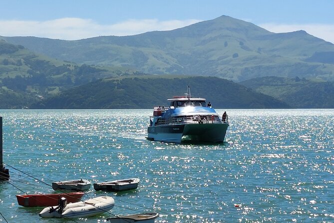 Lyttelton Shore Excursion: Twin Harbour Tour (Lyttelton & Akaroa) - Tour Overview
