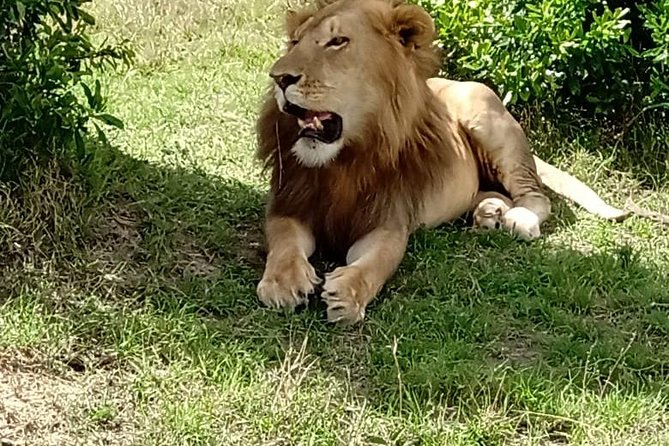 Maasai Mara Game Reserve