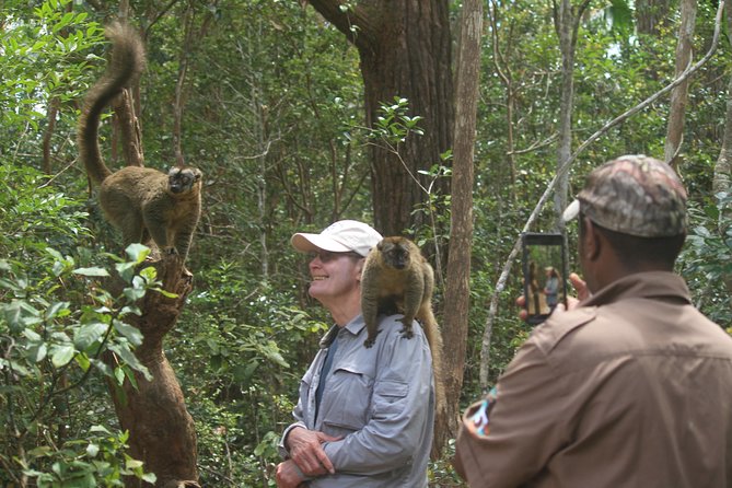 9 Best Tours In Antananarivo