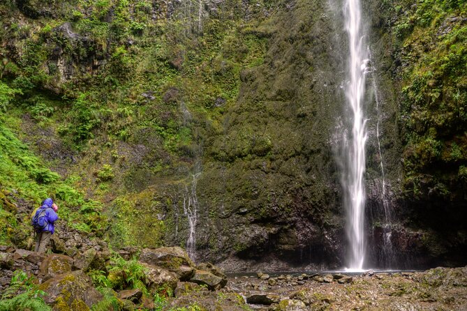 Madeira Levada Walk – Caldeirao Verde