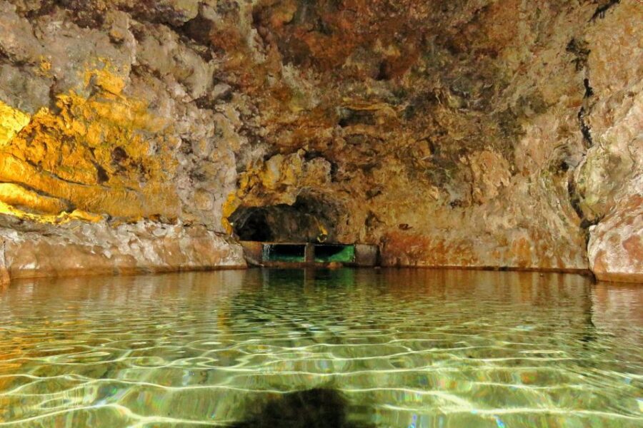 Madeira : Private Wine Experience by 4WD - Overview and Pricing