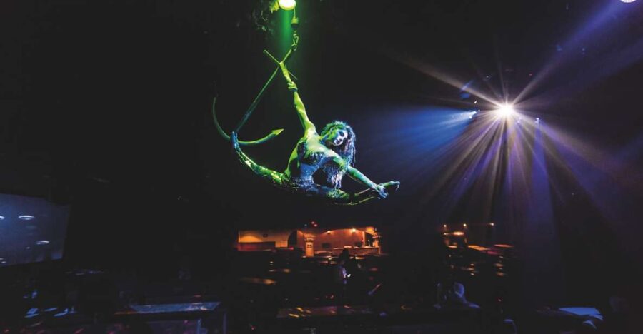 Magaluf: Pirates Adventure Dinner Show Ticket