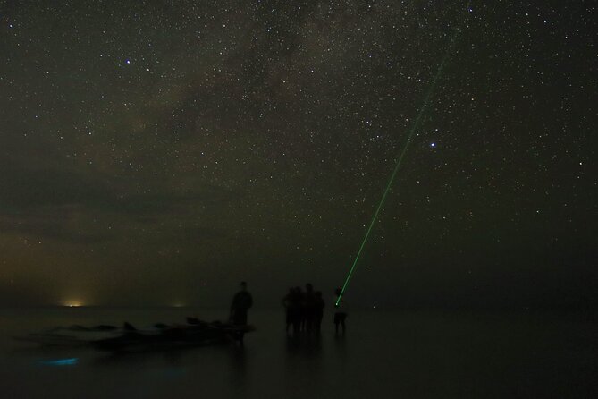Magic Night of Stargazing and Bioluminescence - Overview of the Activity