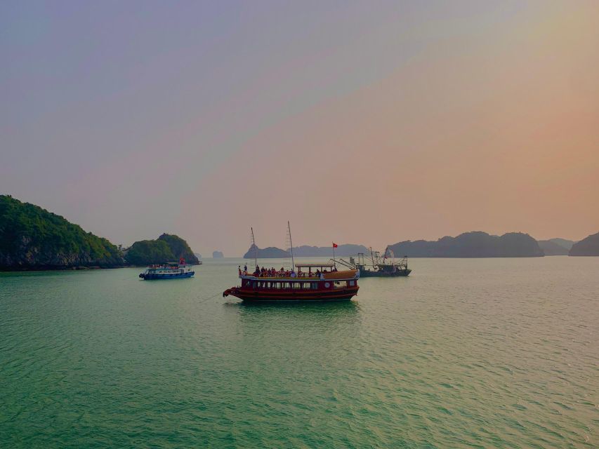 Magical Bioluminescence Plankton Tour