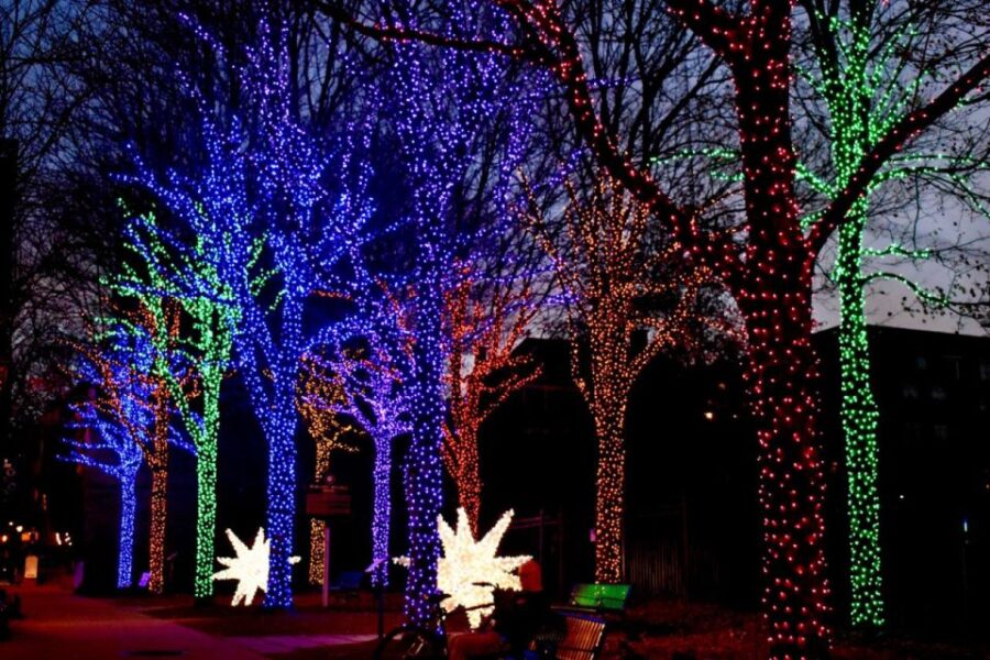 Magical Christmas Walking Tour in Atlanta - Tour Overview
