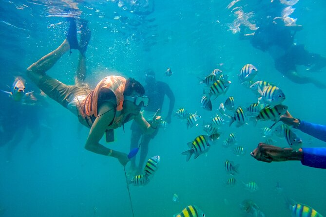Magical Full-Day Tour Through the Mangroves and the Beach in Isla De Barú - Pickup and Meeting Information