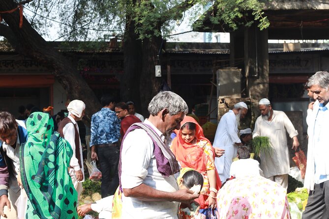 Magical Walk of Jaipur