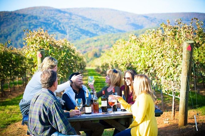 Maipo Valley Wine Tour With 4 Vineyards From Santiago. - Tour Overview and Details