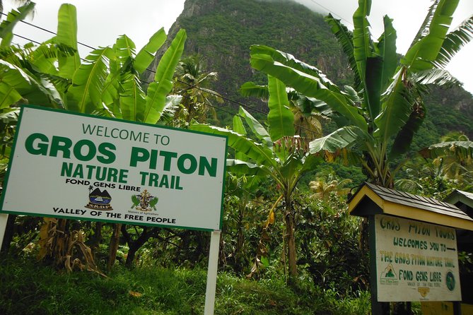 Majestic Gros Piton Hike - Tour Inclusions and Logistics