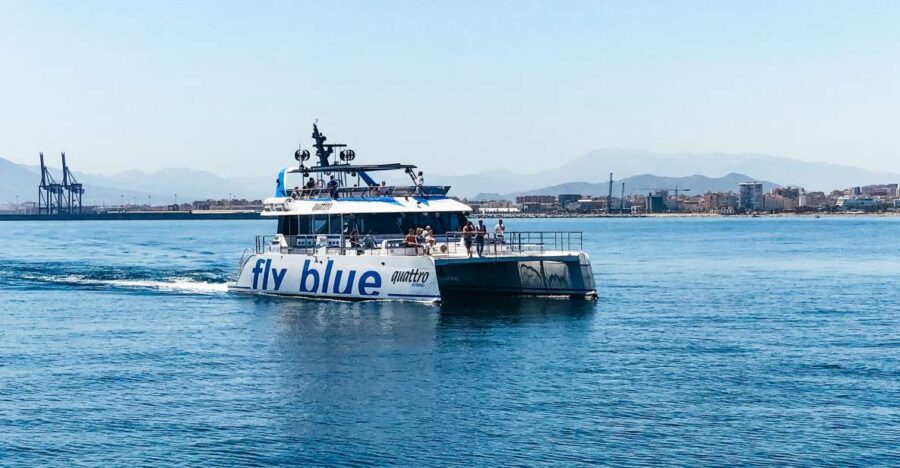 Malaga: Catamaran Cruise With Optional Swimming Stop