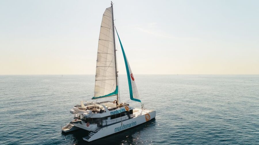 Malaga: Catamaran Sailing Trip With Sunset Option