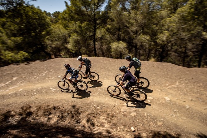 Malaga E-MTB Tour: Botanical Garden, Natural Park and Port of Malaga