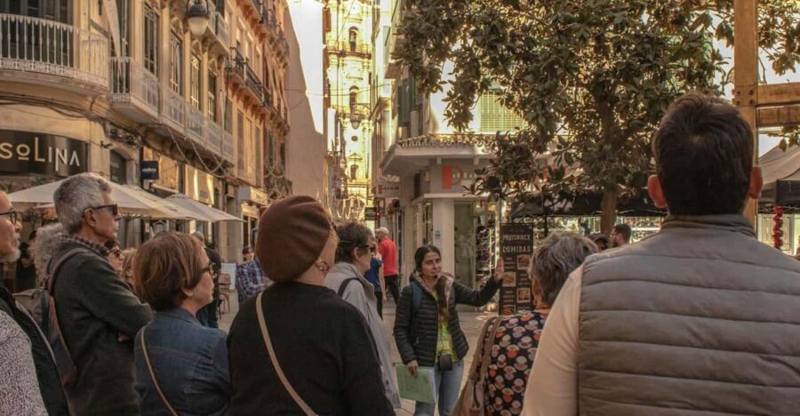 Málaga: Private Guided Walking Tour in the Historic Center