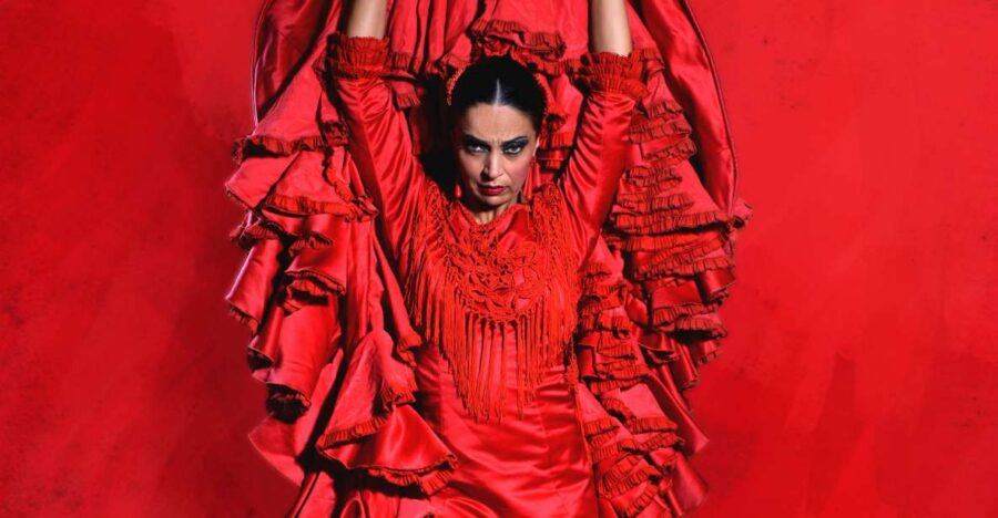 Malaga: Teatro Flamenco Malaga Live Flamenco Show - Show Details and Experience