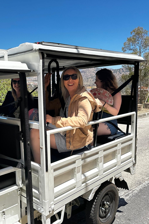 Málaga: TukTuk Tour and Flamenco Show - Tour Overview