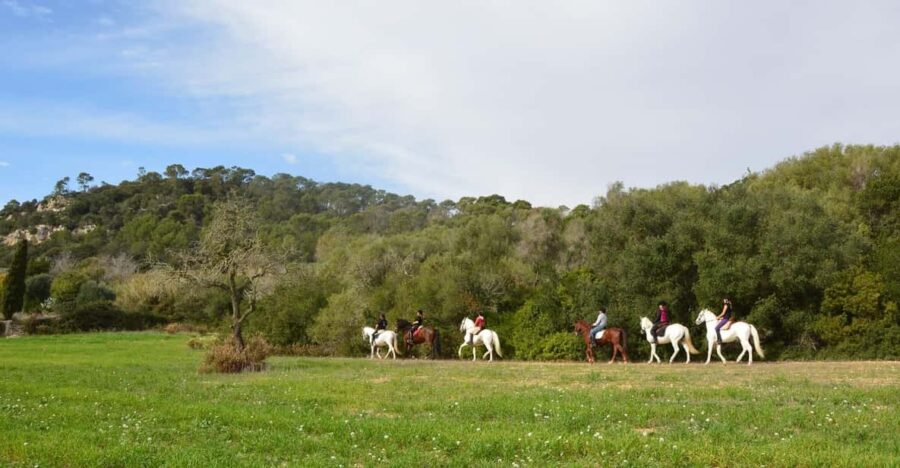 Mallorca: Activity, Antique Mallorca With Picnic