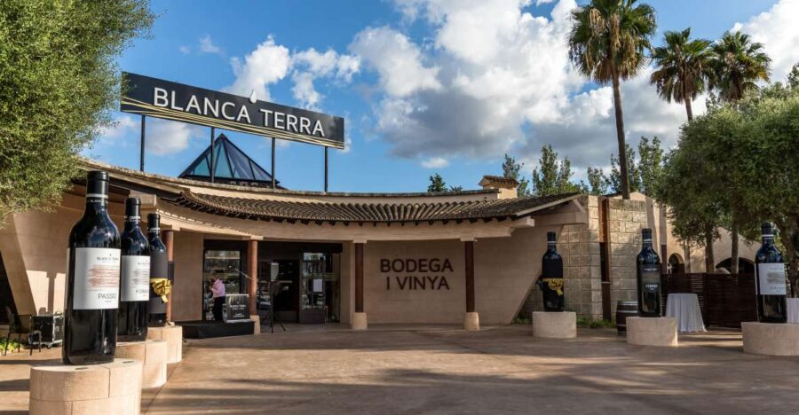 Mallorca: Blanca Terra Bodega Ticket - Optional Wine Tasting - Ticket Details