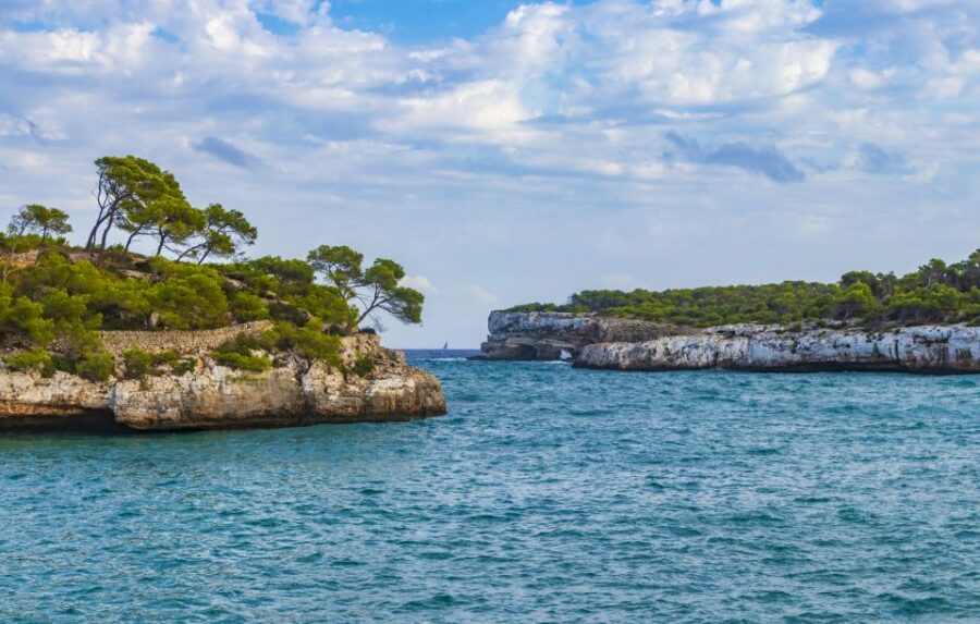 Mallorca: Cala Mondrago Natural Park Jetski Tour