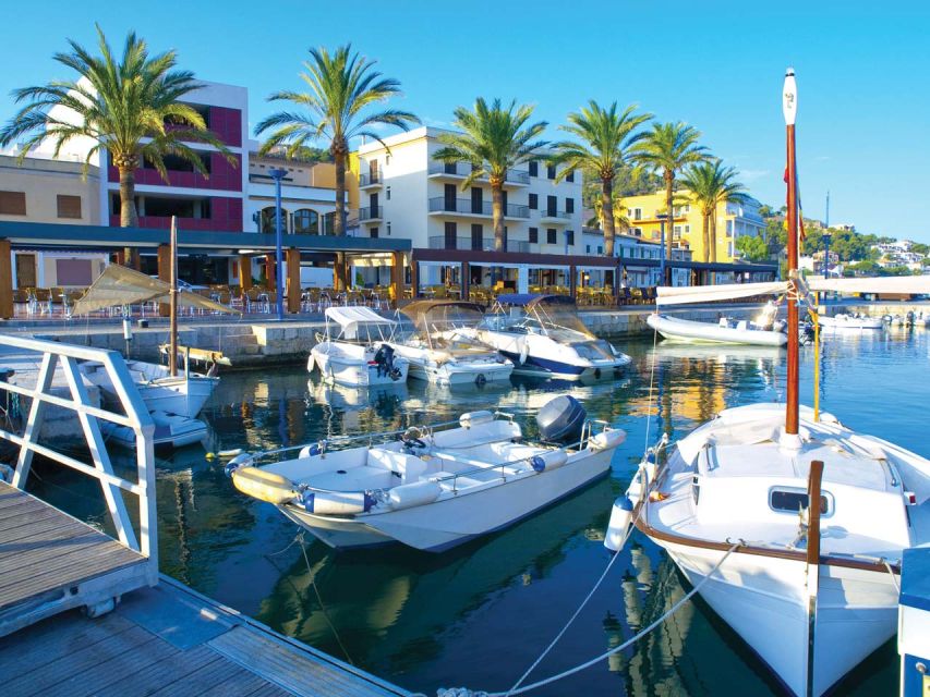 Mallorca: Catamaran Coastal Cruise With Lunch