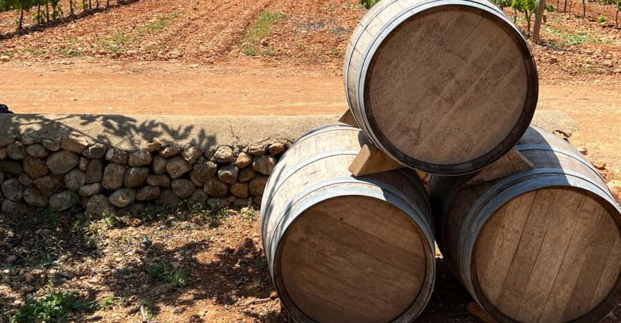 Mallorca: Discover the Secret Treasures of the Local Wine