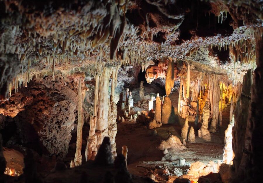 Mallorca: Drach and Hams Caves, and Porto Cristo Day Tour