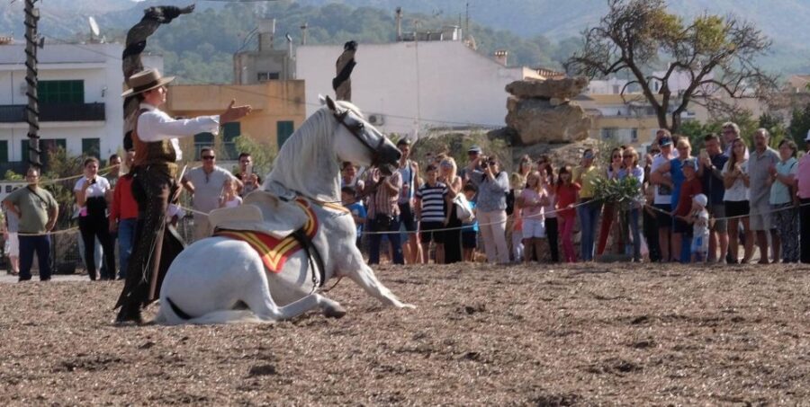 Mallorca: Mallorca`s Sunset & Spanish Riding School Show - Activity Overview