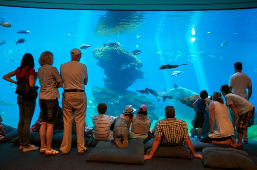 Mallorca: Palma Aquarium Tickets With Transfer - Aquarium Overview
